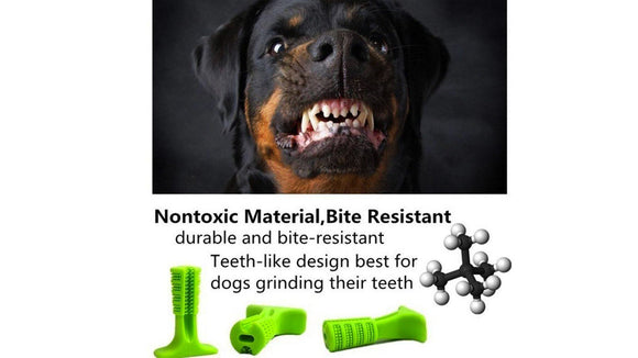 Dog Toothbrushing Stick - Oral Care and Chew Toy