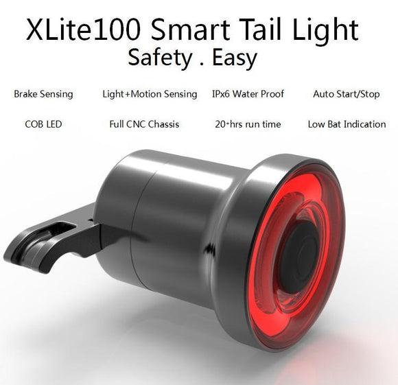 Intelligent induction taillight