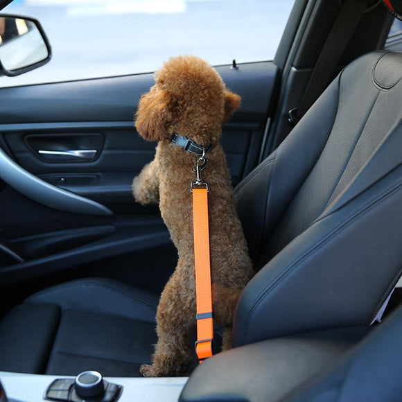 PET SEAT BELT(Get 10% OFF WHEN YOU PURCHASE 2) - CozyBuy