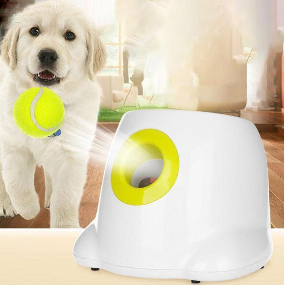 Automatic Tennis Ball Launcher Dog Toy