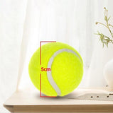 Automatic Tennis Ball Launcher Dog Toy